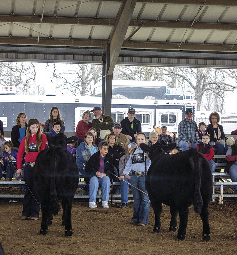 Ozark Spring Roundup
